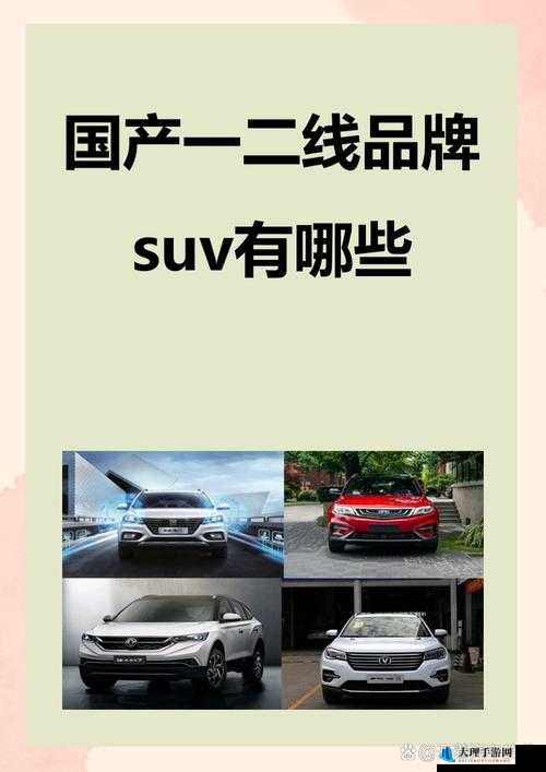 国产一二线品牌 SUV 有哪些：热销车型推荐