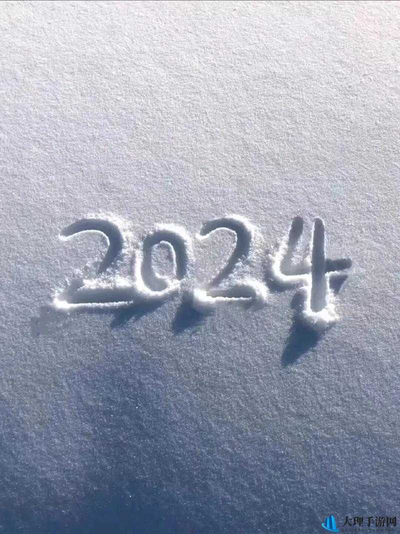 网站软件进入窗口 2024：通向未来的数字之门